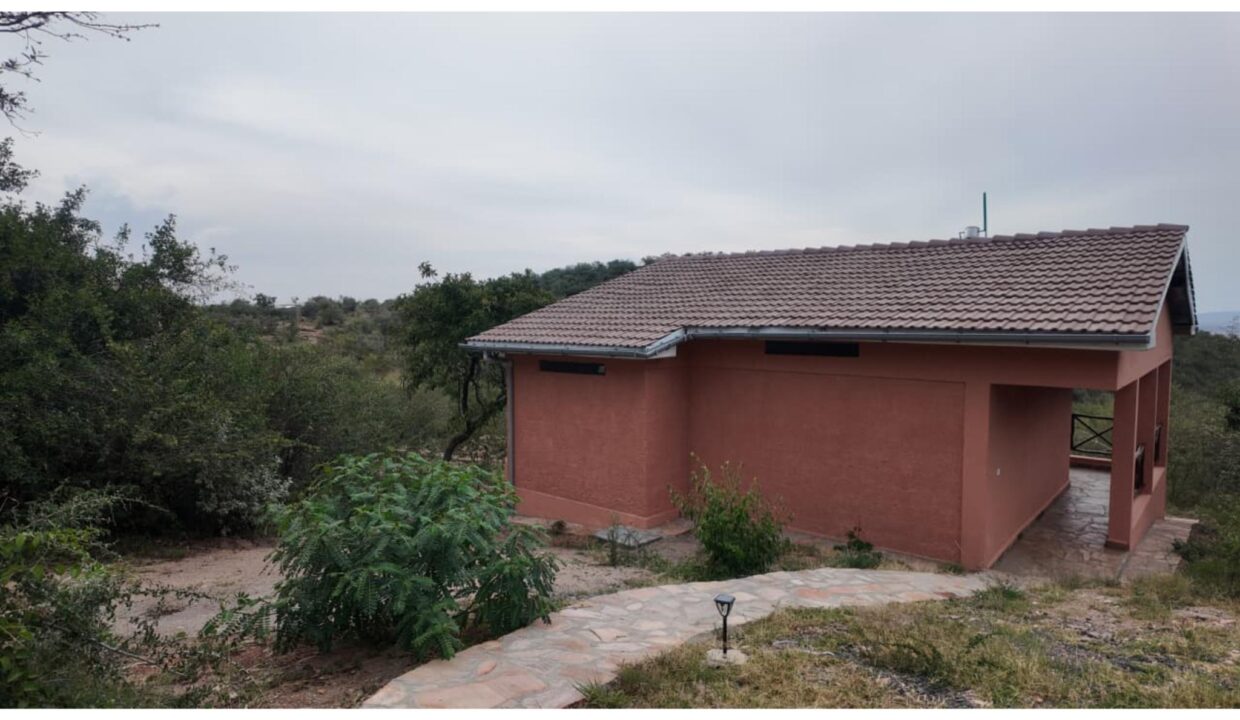 Image14